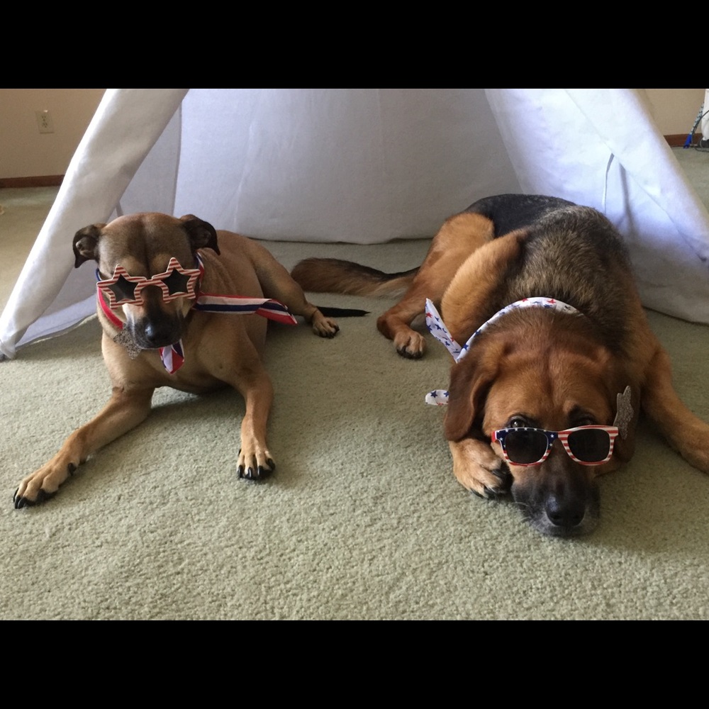 Meet your Posher, Rini